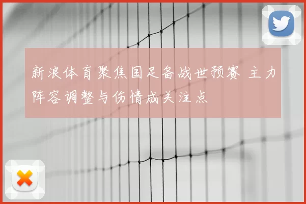 新浪体育聚焦国足备战世预赛 主力阵容调整与伤情成关注点