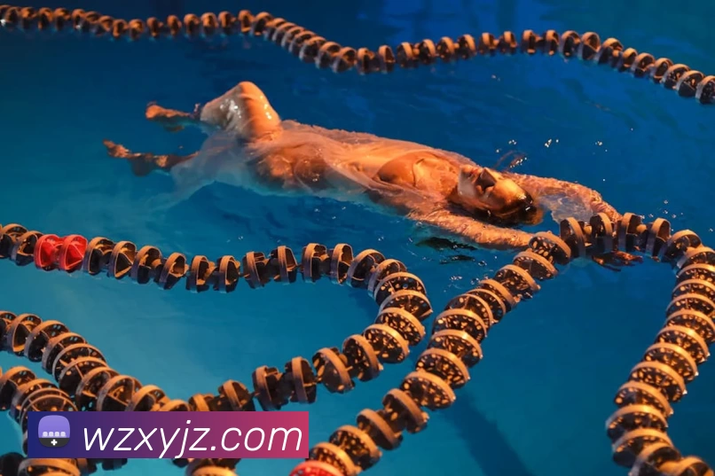 App Interface Preview